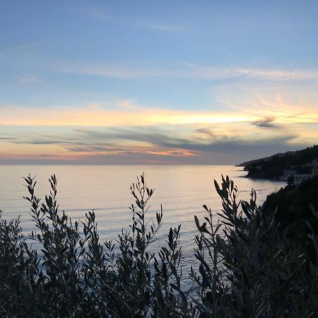 Villa Martina Mare Casal Velino Eksteriør bilde