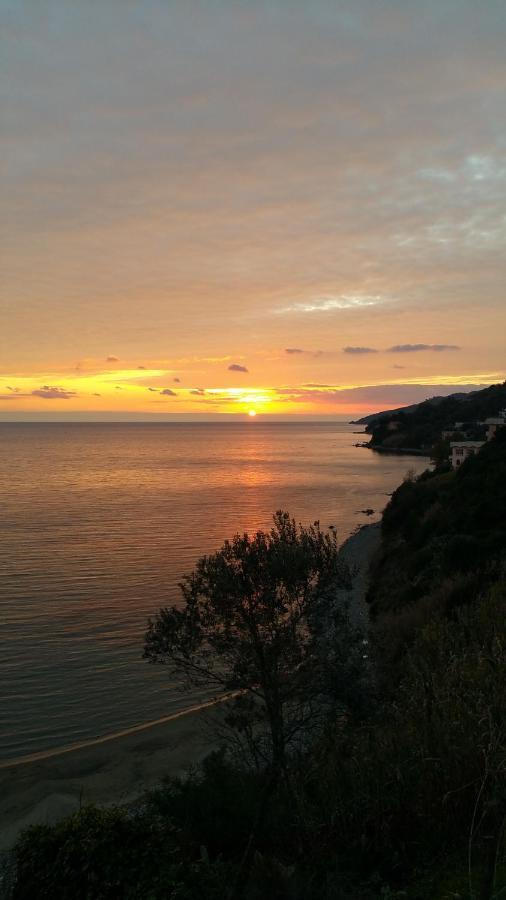 Villa Martina Mare Casal Velino Eksteriør bilde