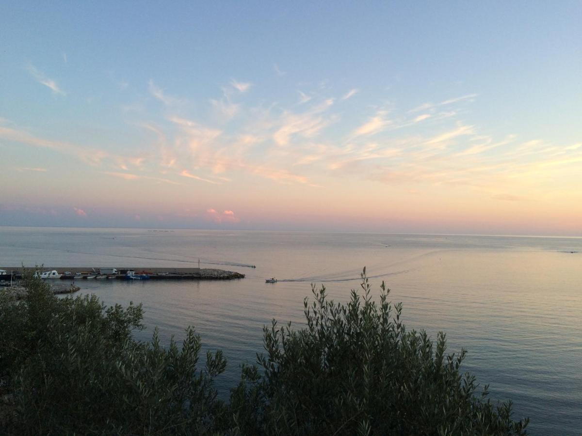 Villa Martina Mare Casal Velino Eksteriør bilde