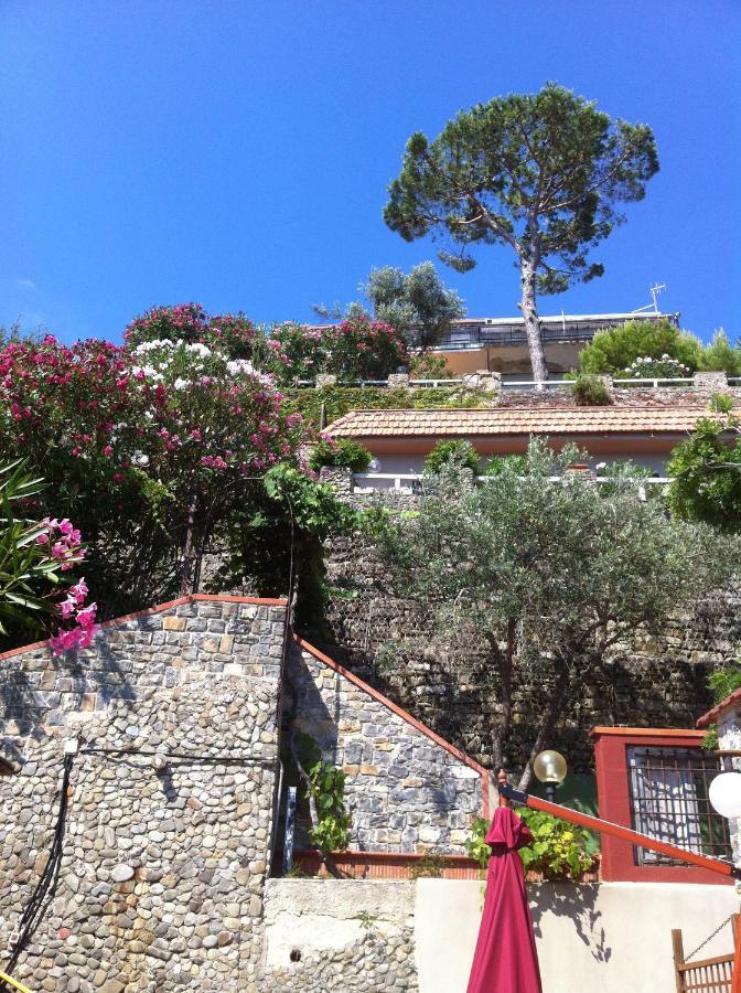 Villa Martina Mare Casal Velino Eksteriør bilde