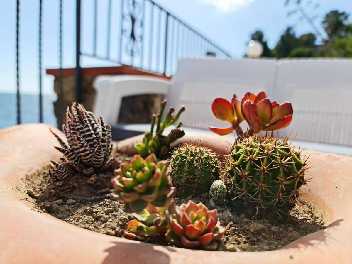 Villa Martina Mare Casal Velino Eksteriør bilde