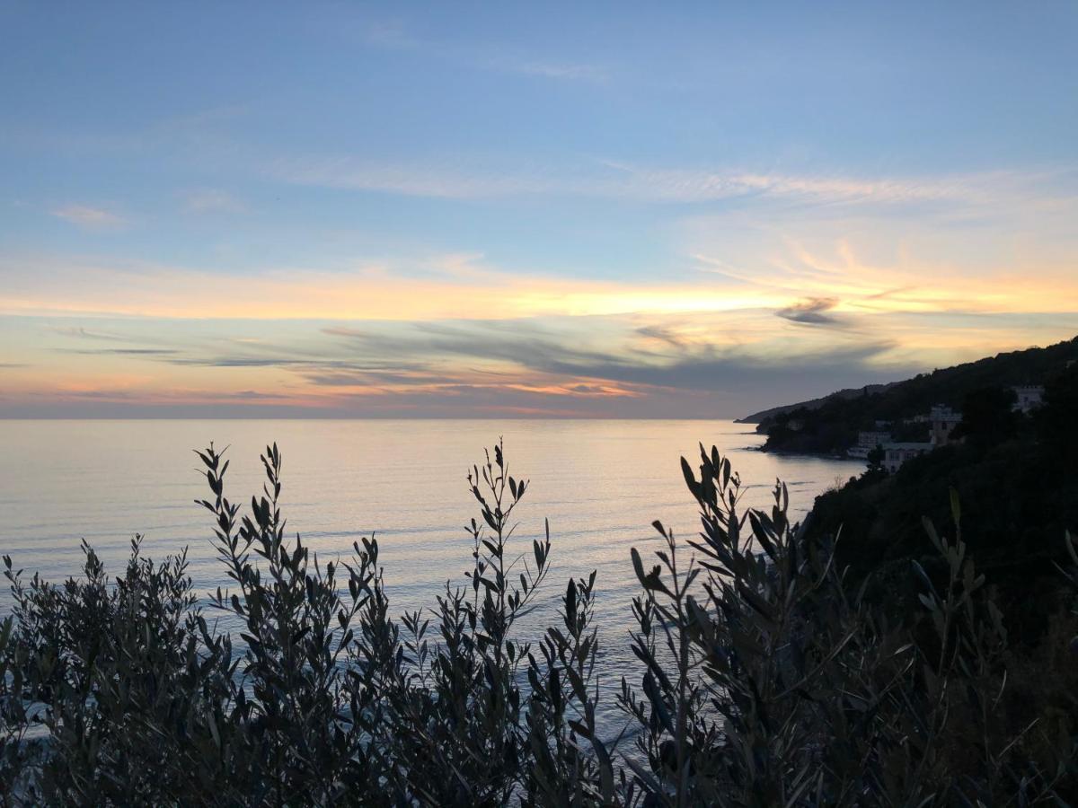Villa Martina Mare Casal Velino Eksteriør bilde